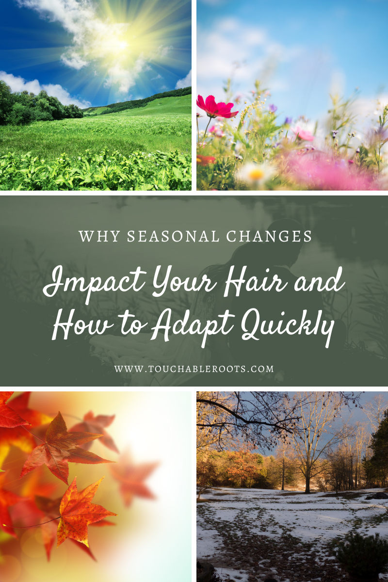 Why Seasonal Changes Impact Your Hair and How to Adapt Quickly